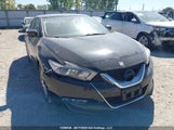 Nissan Maxima 1N4AA6APXHC436905 снимка