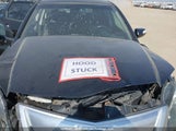 Acura Rdx 5J8TB1H56BA800250 снимка