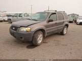 Ford Escape Xlt 1FMYU03196KA95078 снимка