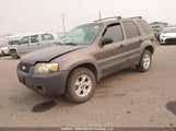 Ford Escape Xlt 1FMYU03196KA95078 снимка