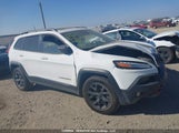 Jeep Cherokee Trailhawk 1C4PJMBS5GW256238 снимка