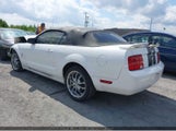 Ford Mustang V6 1ZVHT84N565190689 снимка