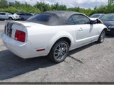 Ford Mustang V6 1ZVHT84N565190689 снимка
