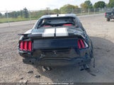 Ford Mustang Gt 1FA6P8CF6M5103233 снимка