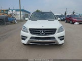 Mercedes-Benz Ml 350 Bluetec 4JGDA2EB1CA008204 снимка