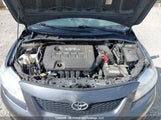 Toyota Corolla S/Le/Xle 2T1BU40E99C087559 снимка