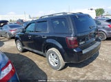 Ford Escape Xlt 1FMCU0DG3BKA63881 снимка