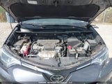 Toyota Rav4 Le 2T3ZFREV9JW490417 снимка