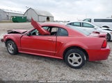 Ford Mustang 1FAFP40442F184185 снимка