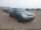 Chevrolet Malibu 1G1ZS52F85F296575 снимка