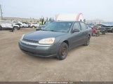 Chevrolet Malibu 1G1ZS52F85F296575 снимка