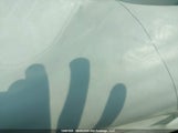 Buick Verano 1G4PP5SK7H4119217 снимка