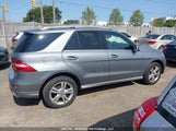 Mercedes-Benz Ml 350 Bluetec 4JGDA2EB1FA551699 снимка