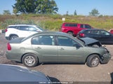 Chevrolet Malibu 1G1ZS51F46F284460 снимка