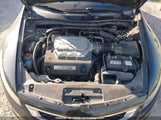 Honda Accord Ex-L V6 1HGCS2B89AA800203 снимка