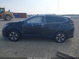 Honda Cr-V Lx 2HKRW2H28LH220081 photo