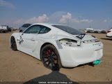 Porsche Cayman Gt4 WP0AC2A82GK191091 снимка