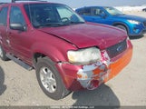 Ford Escape Limited 1FMYU94157KB74882 снимка
