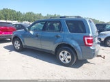 Ford Escape Xlt 1FMCU0D77BKA83681 photo
