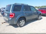 Ford Escape Xlt 1FMCU0D77BKA83681 снимка