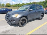 Toyota Rav4 2T3RF4DV0AW047853 fotografie