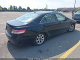 Toyota Camry Se/Le/Xle 4T1BF3EK5BU227212 fotografie
