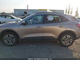 Ford Escape Sel 1FMCU9H96MUA55717 снимка