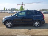Honda Cr-V Ex 5J6RE485X7L814336 снимка