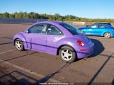 Volkswagen New Beetle 2.5L Luxury 3VWRW21C06M413064 fotografie