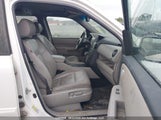 Honda Pilot Exl 5FNYF4H5XBB507307 fotografie