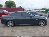 BMW 528 Xi WBAXH5C53DDW16427 снимка