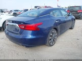 Nissan Maxima Sr 1N4AA6AP6GC377513 снимка