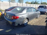 Toyota Corolla 2T1BU40E29C080825 снимка