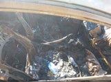 Honda Civic Exl 2HGFG11948H003372 снимка