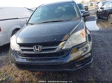 Honda Cr-V Lx 5J6RE4H37BL825981 снимка