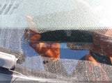 Nissan Versa S/Sl 3N1BC13E89L468770 снимка