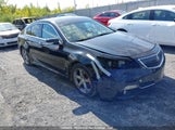 Acura Tl 19UUA9F52EA800677 fotografie