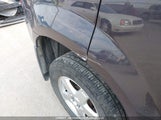 Pontiac Torrent 2CKDL73FX76115930 снимка