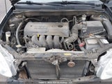 Toyota Corolla 2T1BR32E55C860210 fotografie