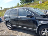 Honda Cr-V Ex-L 5J6RE48759L814362 photo