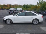 Audi A4 2.0 Komfort WAUBFCFL1EN009808 снимка
