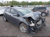 Kia Forte 1.8L Lx/1.8L Lx+/Lx+ Winter Edition KNAFX4A64F5376791 fotografie