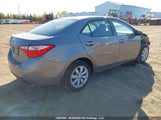Toyota Corolla L/Le/Le Pls/Prm/S/S Pls 2T1BURHE9GC562142 fotografie