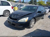 Honda Accord 1HGCM56806A804198 снимка