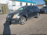 Cadillac Srx Performance Collection 3GYFNFE37ES686307 снимка