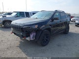 Jeep Cherokee Trailhawk 1C4PJMBXXKD116072 снимка
