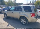 Ford Escape Xlt 1FMCU9DGXBKA64045 снимка