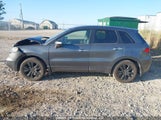 Acura Rdx Technology 5J8TB1H57BA801942 снимка