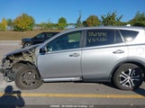 Toyota Rav4 Le 2T3ZFREV8GW305380 снимка