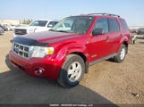 Ford Escape Xlt 1FMCU93178KB64920 снимка